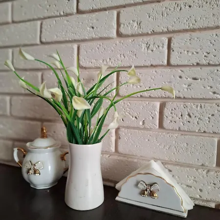 у ланжерона Apartman