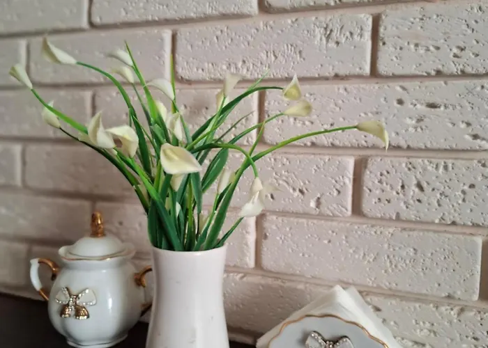 у ланжерона Apartment